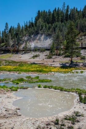 Picture of MUD VOLCANO-YELLOWSTONE NATIONAL PARK-WYOMING-USA