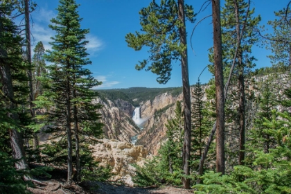 Picture of LOWER YELLOWSTONE FALLS-GRAND CANYON OF THE YELLOWSTONE-YELLOWSTONE NATIONAL PARK-WYOMING-USA