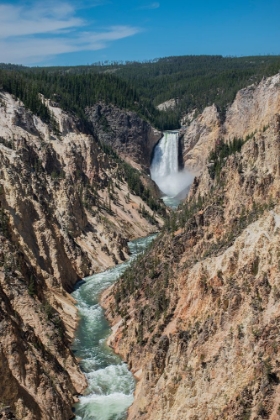 Picture of LOWER YELLOWSTONE FALLS-GRAND CANYON OF THE YELLOWSTONE-YELLOWSTONE NATIONAL PARK-WYOMING-USA