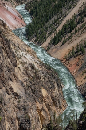 Picture of YELLOWSTONE RIVER AND GRAND CANYON OF THE YELLOWSTONE-YELLOWSTONE NATIONAL PARK-WYOMING-USA