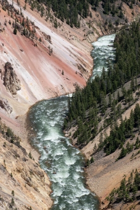 Picture of ARTIST POINT-GRAND CANYON OF THE YELLOWSTONE-YELLOWSTONE NATIONAL PARK-WYOMING-USA