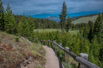 Picture of WRAITH FALLS-YELLOWSTONE NATIONAL PARK-WYOMING-USA