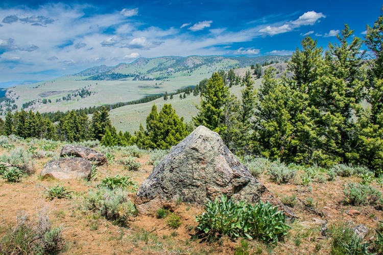 Picture of YELLOWSTONE RIVER PICNIC AREA-YELLOWSTONE NATIONAL PARK-WYOMING-USA