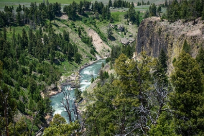 Picture of YELLOWSTONE RIVER PICNIC AREA-YELLOWSTONE NATIONAL PARK-WYOMING-USA