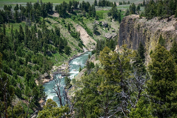 Picture of YELLOWSTONE RIVER PICNIC AREA-YELLOWSTONE NATIONAL PARK-WYOMING-USA