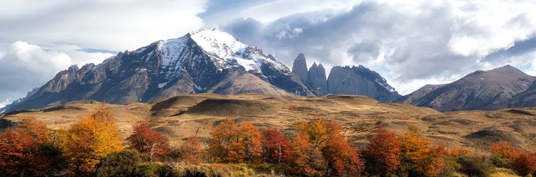Picture of PATAGONIA PANORAMA II