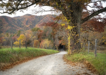 Picture of GRAVEL ROAD II