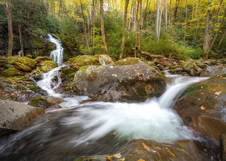 Picture of MOUSE CREEK I