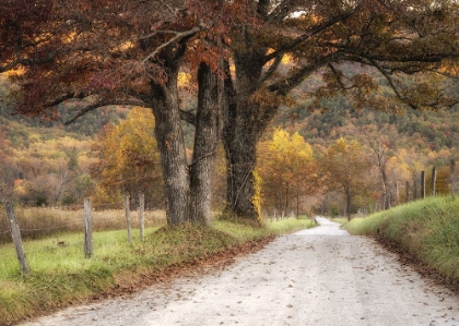 Picture of GRAVEL ROAD II