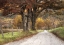 Picture of GRAVEL ROAD II