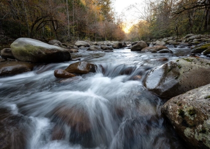 Picture of GREENBRIER DUSK