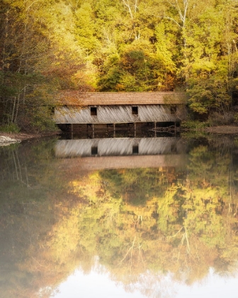 Picture of AUTUMN AT GREEN MOUNTAIN