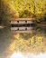Picture of AUTUMN AT GREEN MOUNTAIN