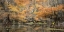 Picture of BIG CYPRESS II