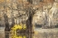 Picture of A TOUCH OF YELLOW