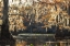 Picture of BAYOU MAGIC IV