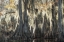 Picture of BAYOU MAGIC V