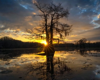 Picture of BAYOU SUNRISE I