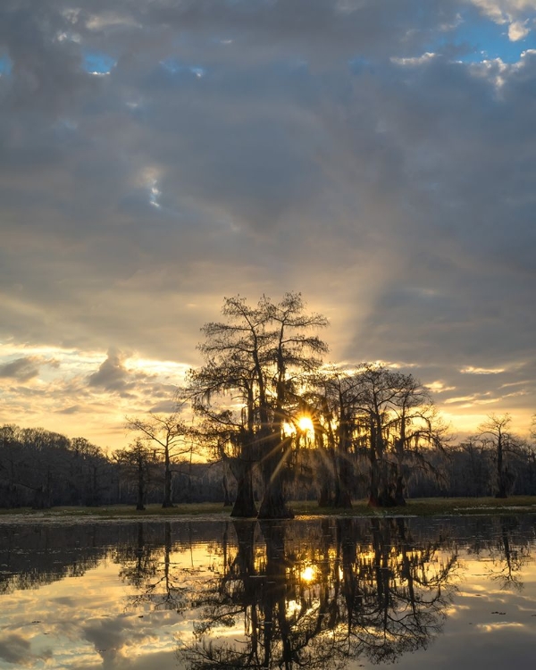 Picture of BAYOU SUNRISE II