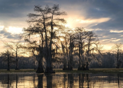 Picture of BAYOU SUNRISE III