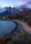 Picture of NIGHT TRAILS
