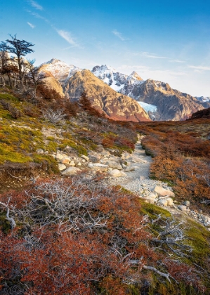 Picture of HIKE TO FITZ ROY II