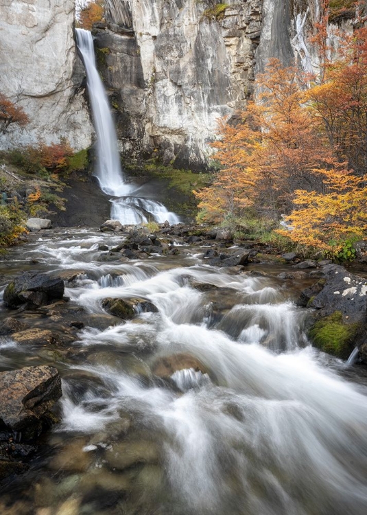 Picture of FALLS AT EL CHATEN I