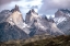 Picture of PRIDE OF PATAGONIA