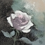 Picture of ROSES AND WHISPERS I