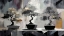 Picture of BONSAI TRIPTYCH