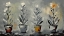 Picture of NATURES SUBDUED SYMPHONY