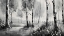 Picture of MONOCHROME FOREST
