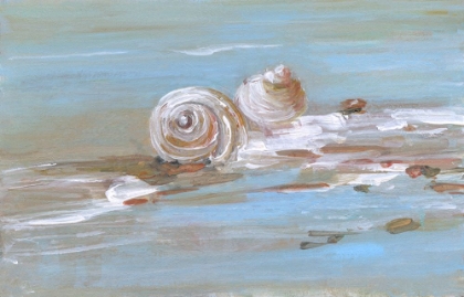Picture of SHORE SHELL II