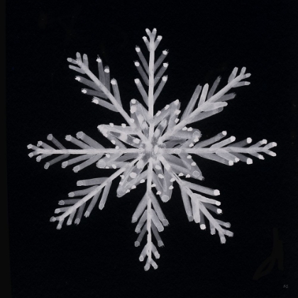 Picture of SNOWFLAKE II