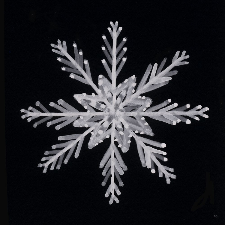 Picture of SNOWFLAKE II