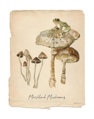 Picture of MARSHLAND MUSHROOMS