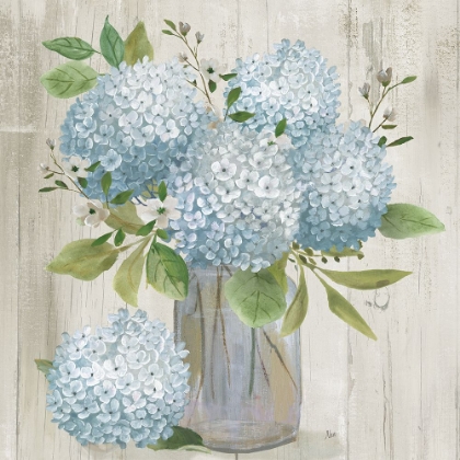 Picture of HYDRANGEA CLUSTER I