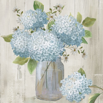 Picture of HYDRANGEA CLUSTER II