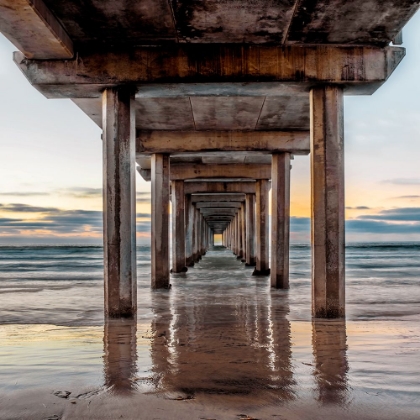 Picture of UNDER SCRIPPS PIER