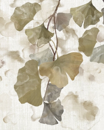 Picture of GINKGO ACCENT I