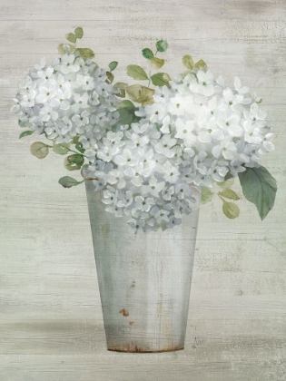 Picture of SIMPLY HYDRANGEAS II