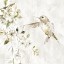 Picture of HUMMINGBIRD SONG IV