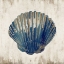 Picture of BLUE SHELL III