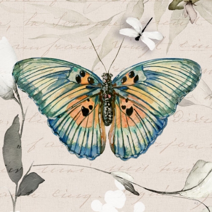 Picture of PAPILLON II