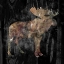 Picture of FOREST MOOSE