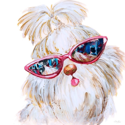 Picture of SHI TZU WITH SHADES