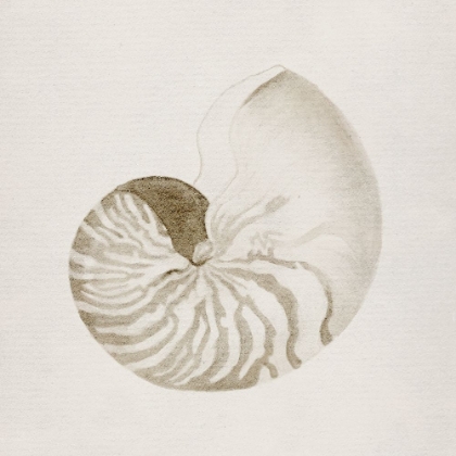 Picture of VINTAGE SHELL II
