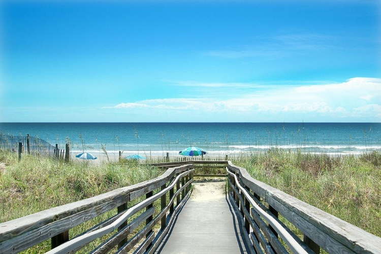 Picture of CAROLINA COAST