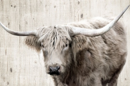 Picture of LONGHORN SEPIA