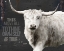 Picture of LONGHORN BE TRUE